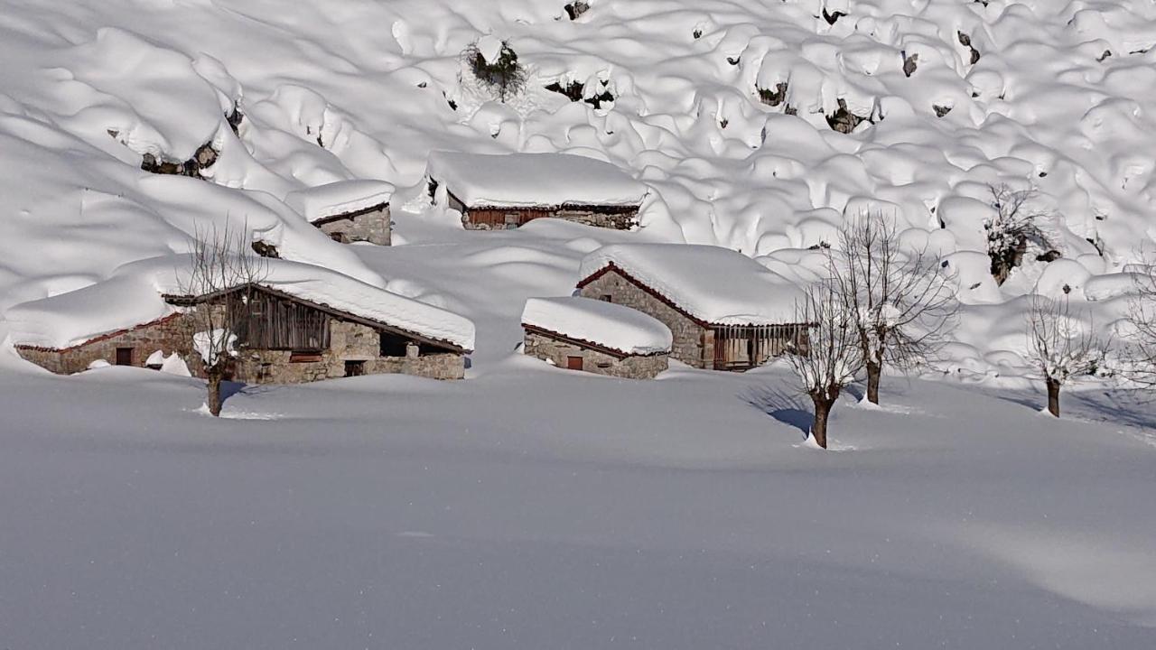 Casa Rural Las Fraguas Llanes, Gulpiyuri, Bufones エクステリア 写真
